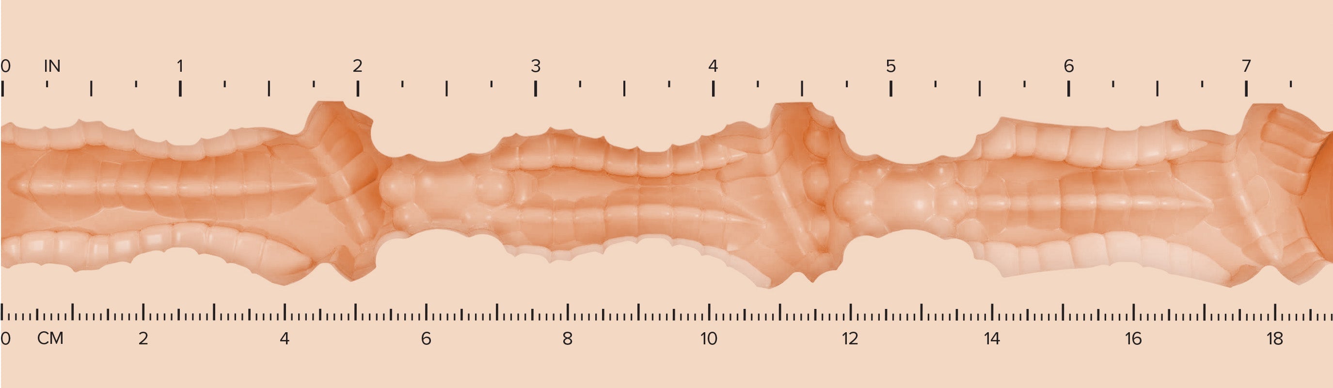 Butt_Texture-Ruler-H-EveSweet.jpg